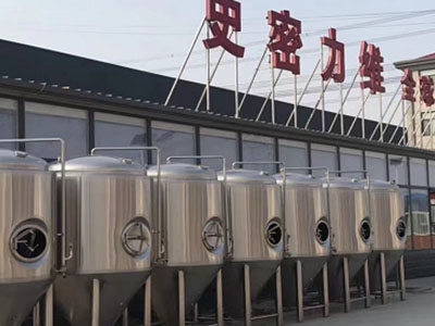 大武口精酿啤酒设备厂—如何判断精酿啤酒设备的密封件需要更换？